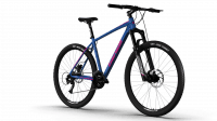 Azul Rosa II