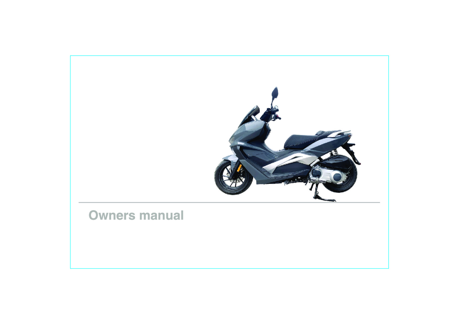 Vieste 300