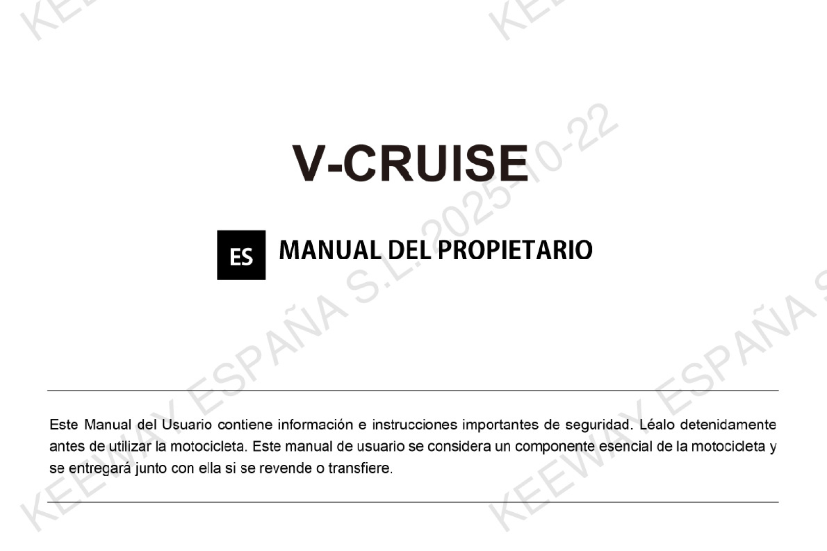 V-Cruise 125 E5 manual de usuario
